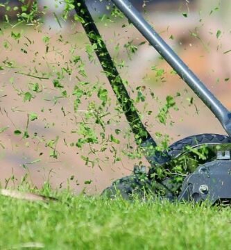 ¿Cómo se debe cortar el pasto?