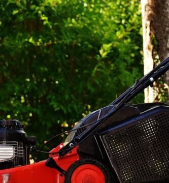 ¿Cuando no se debe cortar el pasto?