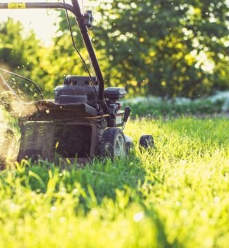 ¿Qué es mejor 100W o 50W?