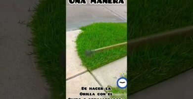 cuidados de una cortadora de césped de empuje para cortar bordes