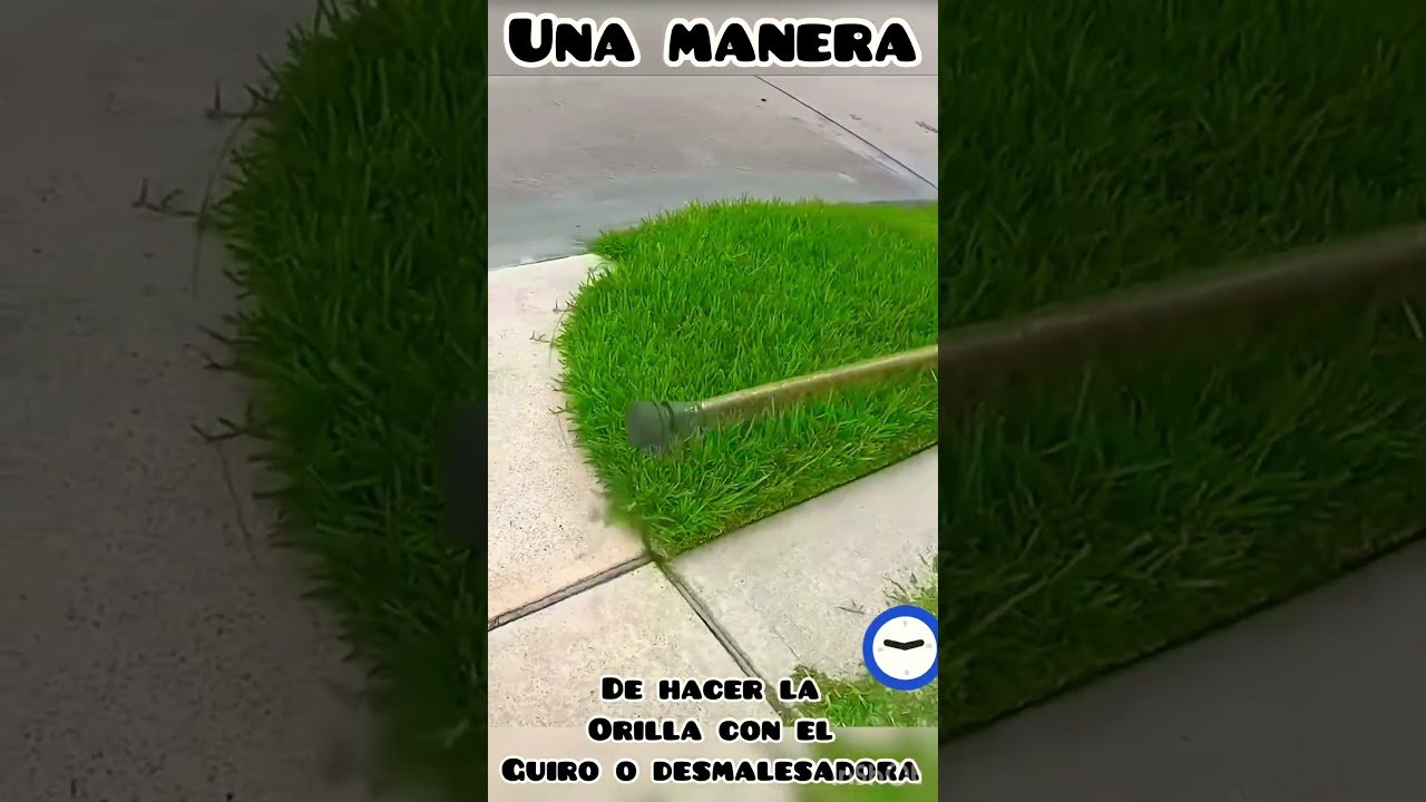 cuidados de una cortadora de césped de empuje para cortar bordes