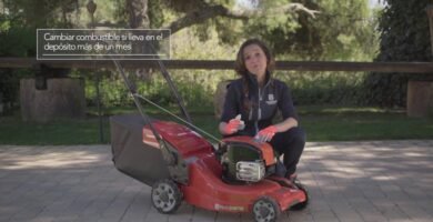 cuidados de una cortadora de césped eléctrica con bajo mantenimiento
