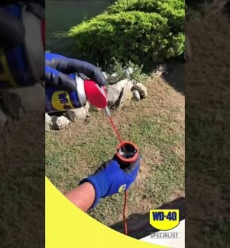 cuidados de una cortadora de césped eléctrica para uso diario