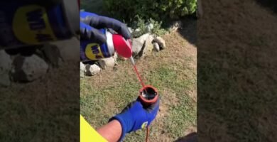 cuidados de una cortadora de césped eléctrica para uso diario