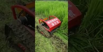 cuidados de una cortadora de césped manual con tracción automática