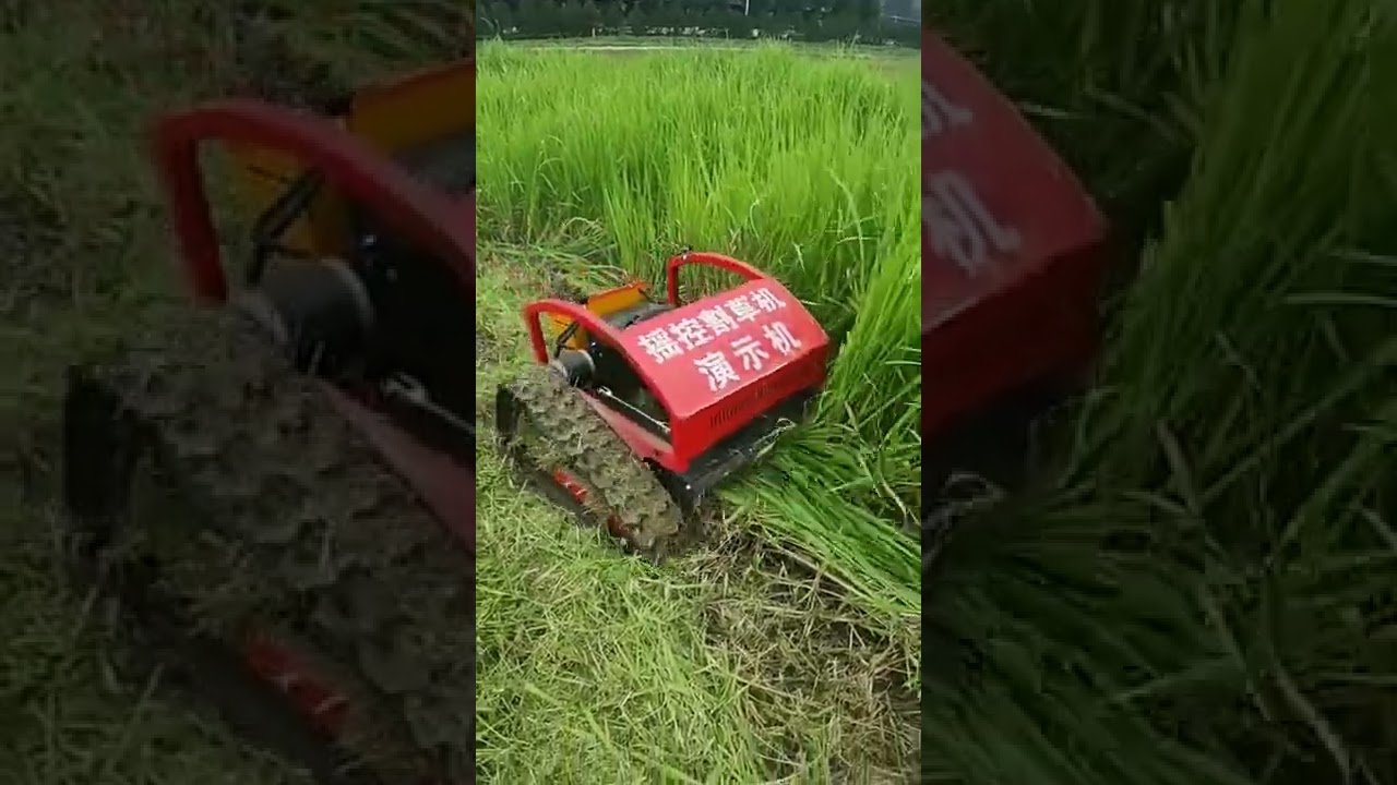 cuidados de una cortadora de césped manual con tracción automática