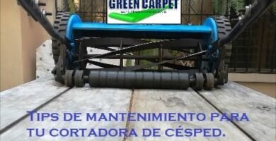cuidados de una cortadora de césped manual para cortar en silencio