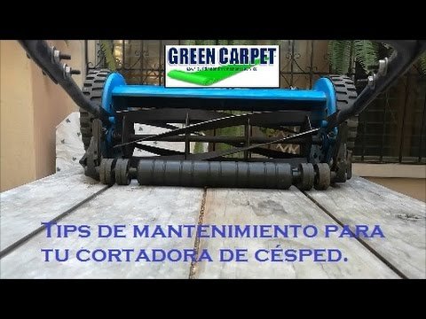 cuidados de una cortadora de césped manual para pasto grueso