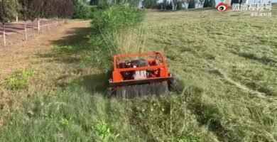 cuidados de una cortadora de pasto inalámbrica con tracción automática