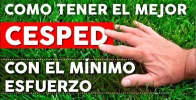 cuidados de una cortadora de pasto inalámbrica para jardín pequeño