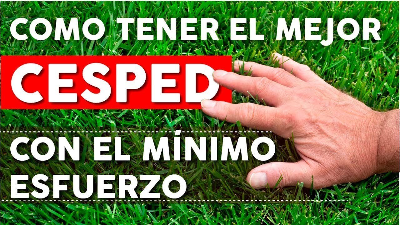 cuidados de una cortadora de pasto inalámbrica para jardín pequeño