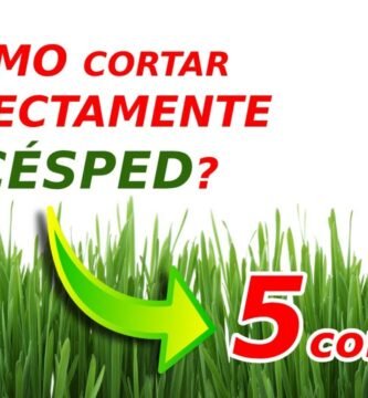 cuidados de una cortadora de pasto profesional en climas cálidos