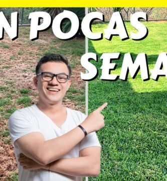 cuidados de una minicortadora de pasto con bajo mantenimiento