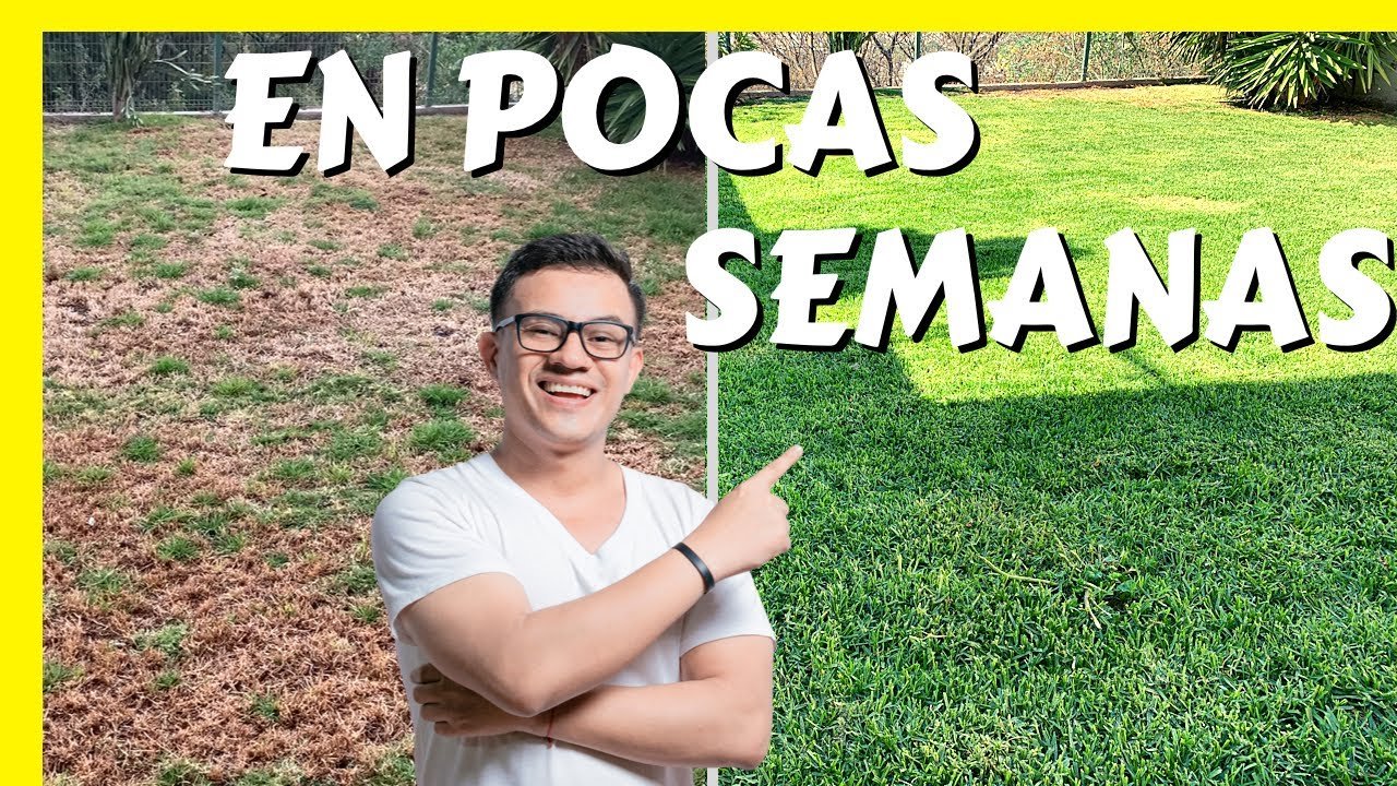 cuidados de una minicortadora de pasto con bajo mantenimiento