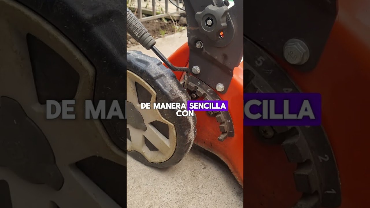 cuidados de una minicortadora de pasto para cortar en silencio