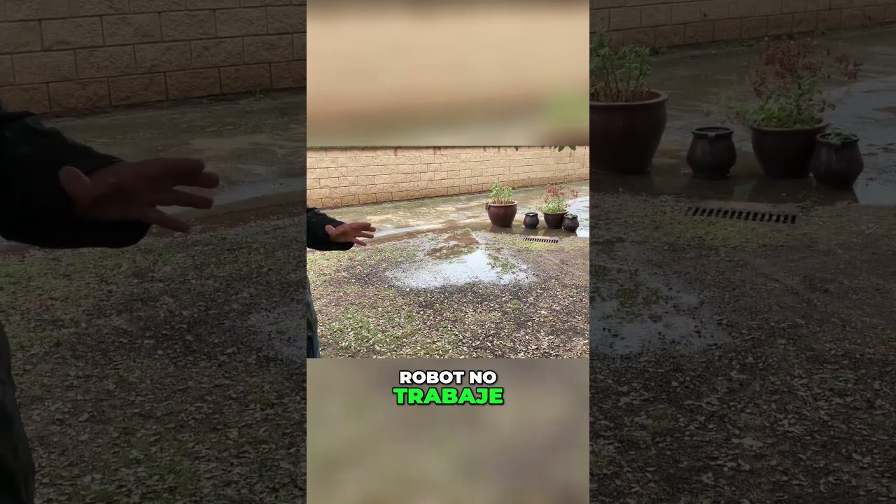 cuidados de una robot cortacésped en zonas húmedas