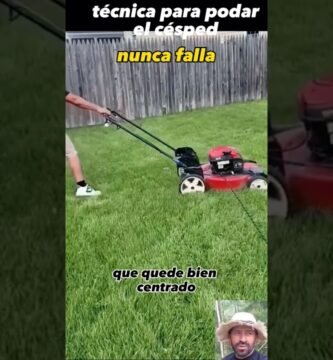 cuidados de una robot cortacésped para cortar en silencio