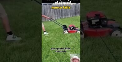 cuidados de una robot cortacésped para cortar en silencio