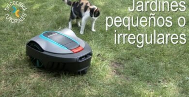 cuidados de una robot cortacésped para jardín pequeño