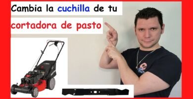 cuándo cambiar una cortadora de pasto inalámbrica para cortes precisos