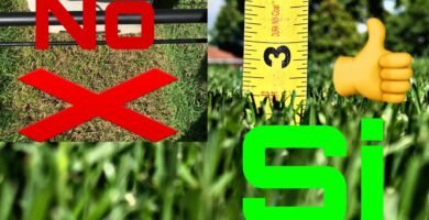 cuándo cambiar una cortadora de pasto profesional en zonas húmedas