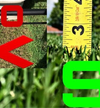 cuándo cambiar una cortadora de pasto profesional para cortar bordes