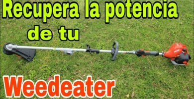 cuándo cambiar una minicortadora de pasto con bajo consumo eléctrico