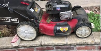 cuándo cambiar una máquina cortadora de césped doméstica para jardín pequeño