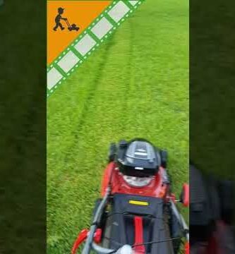 cuánto consume una minicortadora de pasto con tracción automática