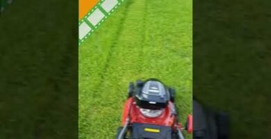 cuánto consume una minicortadora de pasto con tracción automática