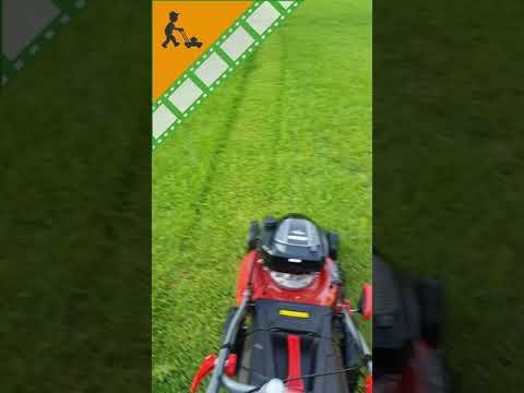 cuánto consume una minicortadora de pasto con tracción automática