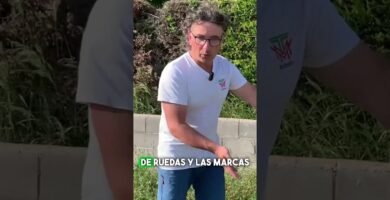 cuánto consume una robot cortacésped con bajo mantenimiento