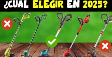 cuánto cuesta una cortadora de césped a gasolina con bajo consumo eléctrico