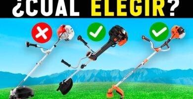 cuánto cuesta una cortadora de césped a gasolina de bajo presupuesto