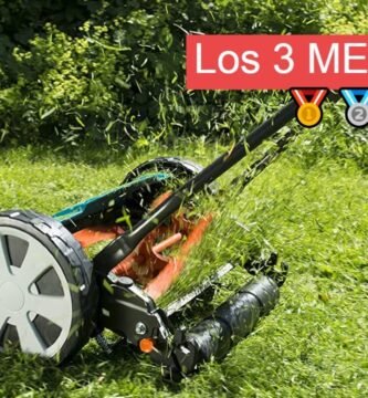 cuánto cuesta una cortadora de césped de empuje para terrenos grandes