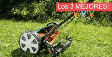 cuánto cuesta una cortadora de césped de empuje para terrenos grandes