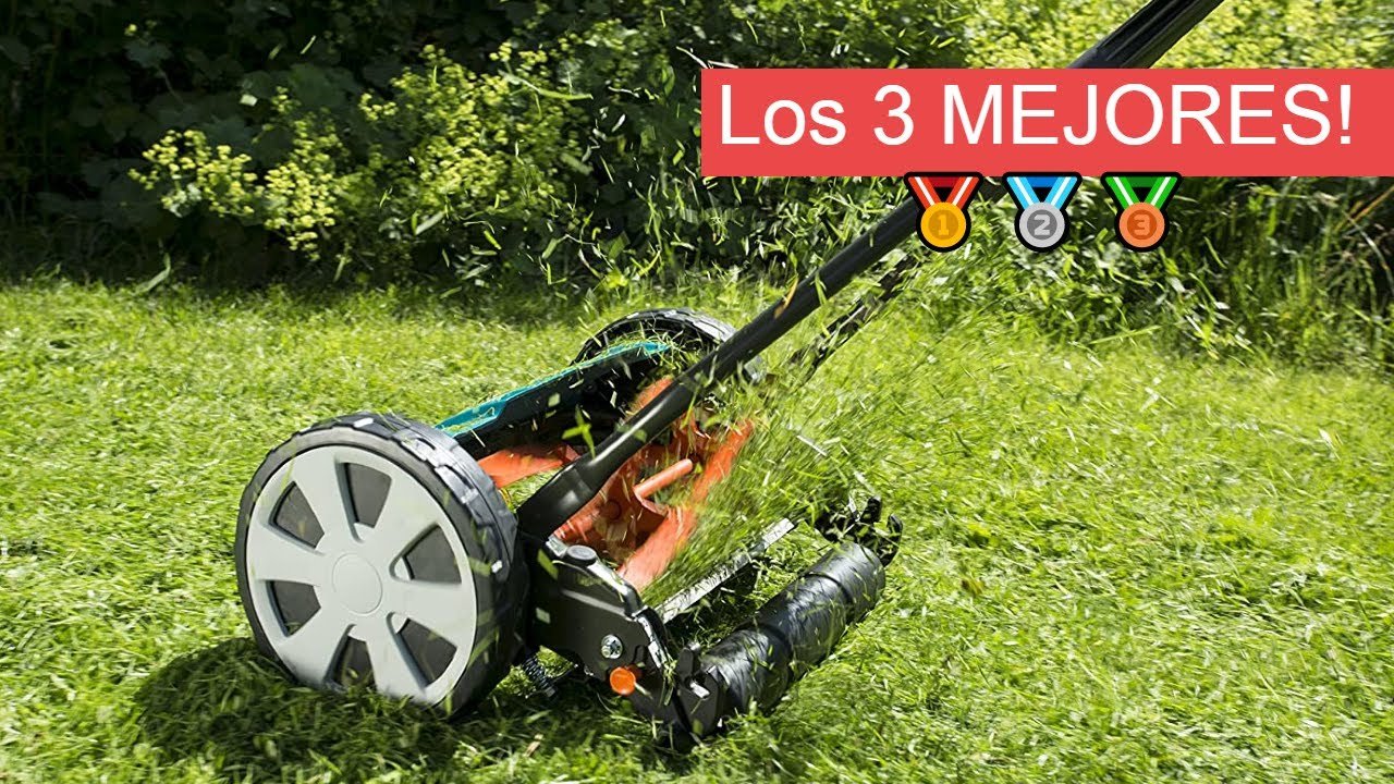 cuánto cuesta una cortadora de césped de empuje para terrenos grandes