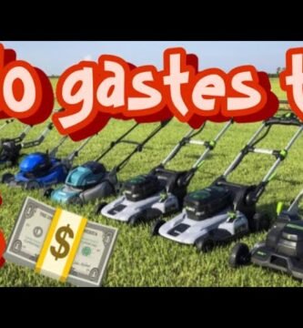 cuánto cuesta una cortadora de césped eléctrica para ahorrar tiempo