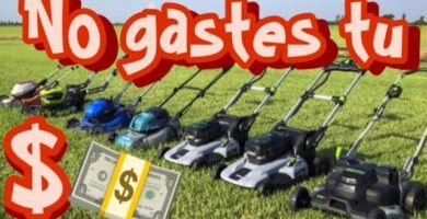 cuánto cuesta una cortadora de césped eléctrica para ahorrar tiempo