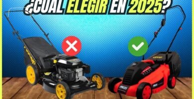 cuánto cuesta una cortadora de césped eléctrica para terrenos grandes