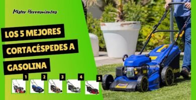 cuánto cuesta una cortadora de pasto profesional con tracción automática