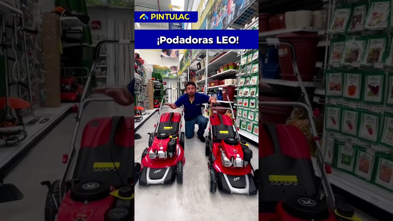 cuánto cuesta una máquina cortadora de césped doméstica para ahorrar tiempo