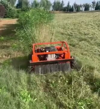 cuánto cuesta una minicortadora de pasto con tracción automática