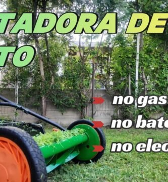 cuánto cuesta una minicortadora de pasto para cortar bordes