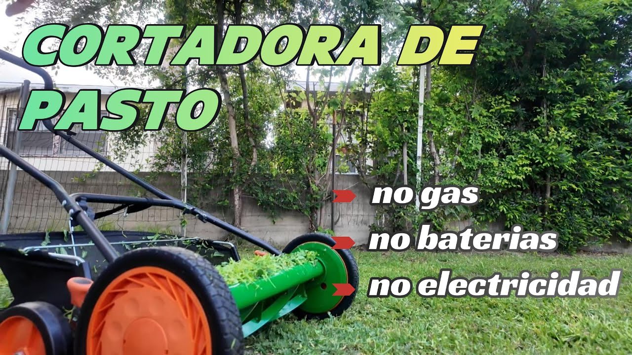 cuánto cuesta una minicortadora de pasto para cortar bordes