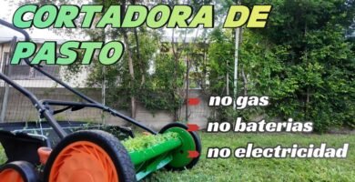 cuánto cuesta una minicortadora de pasto para cortar en silencio