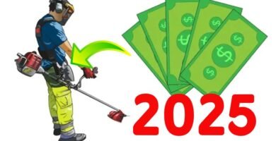 cuánto cuesta una minicortadora de pasto para principiantes