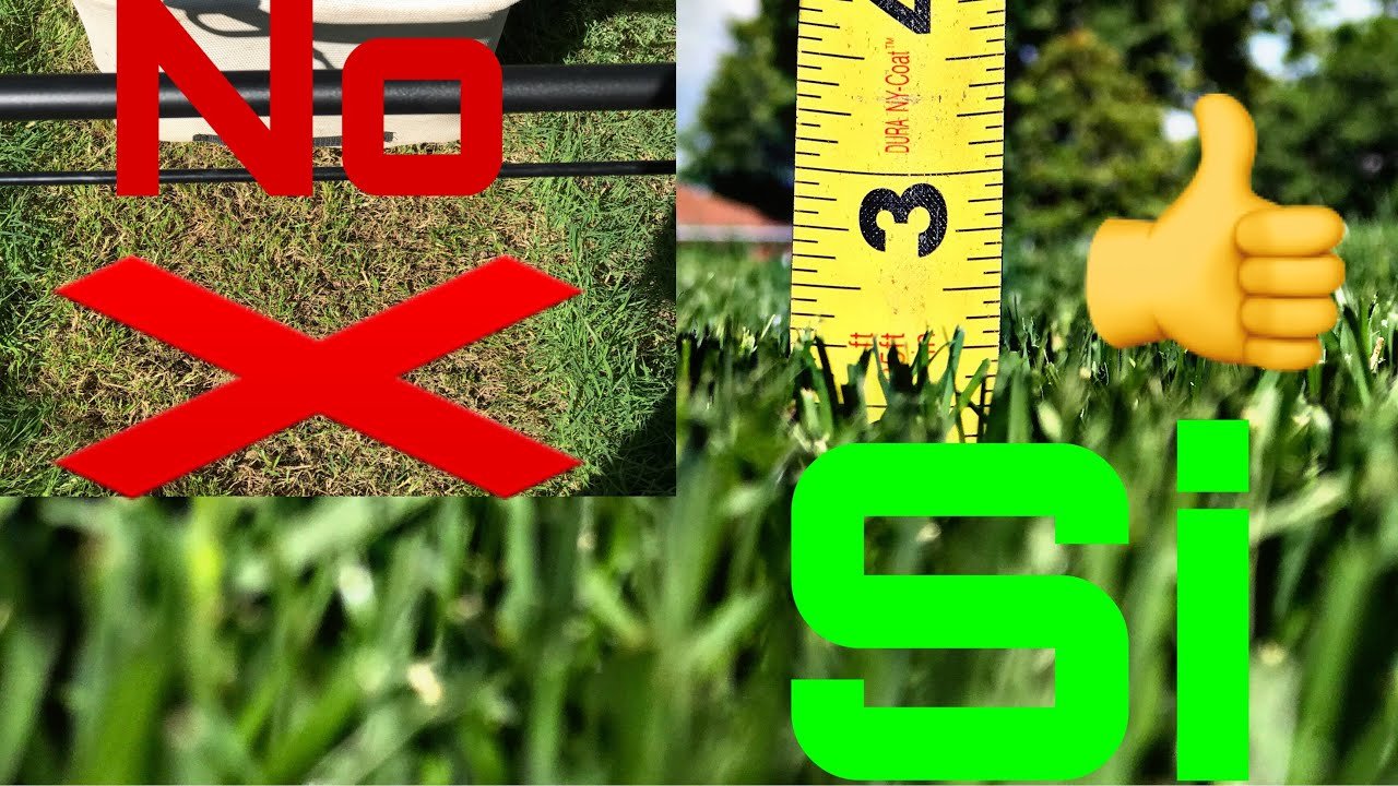 cuánto dura una cortadora de césped de empuje para cortar bordes