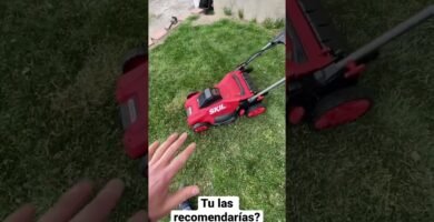 cuánto dura una cortadora de césped eléctrica para cortes precisos